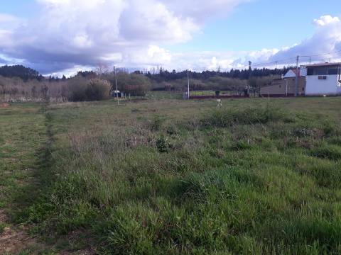 Terreno Arredores de Sangalhos