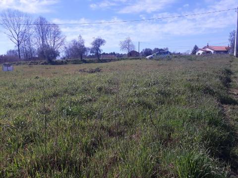 Terreno Arredores de Sangalhos