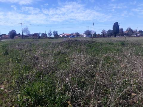 Terreno Arredores de Sangalhos
