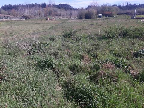 Terreno Arredores de Sangalhos