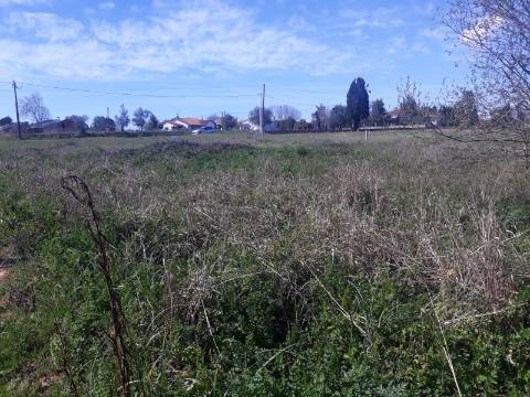 Terreno Arredores de Sangalhos