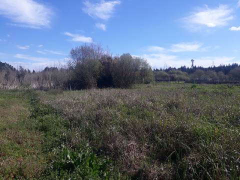 Terreno Arredores de Sangalhos