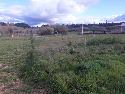 Terreno Arredores de Sangalhos