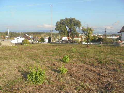 Terreno Barrô