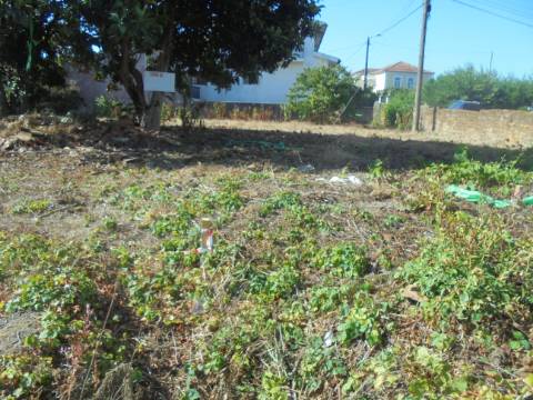 Terreno arredores Oliveira do Bairro