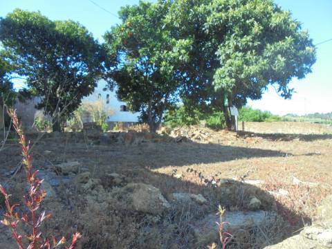 Terreno arredores Oliveira do Bairro