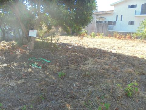 Terreno arredores Oliveira do Bairro