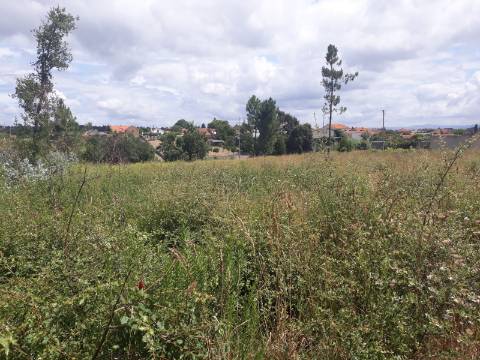 Terreno Arredores de Sangalhos