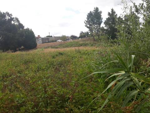 Terreno Arredores de Sangalhos