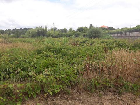 Terreno Arredores de Sangalhos