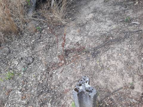 Terreno Arredores de Sangalhos