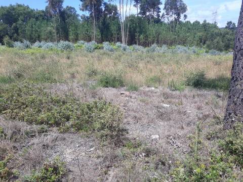 Terreno Arredores de Sangalhos