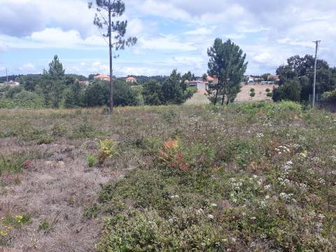 Terreno Arredores de Sangalhos