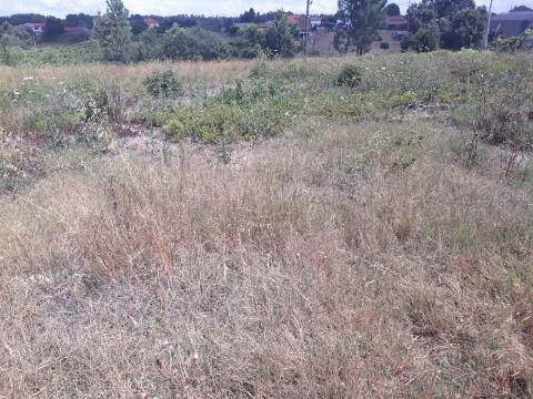 Terreno Arredores de Sangalhos