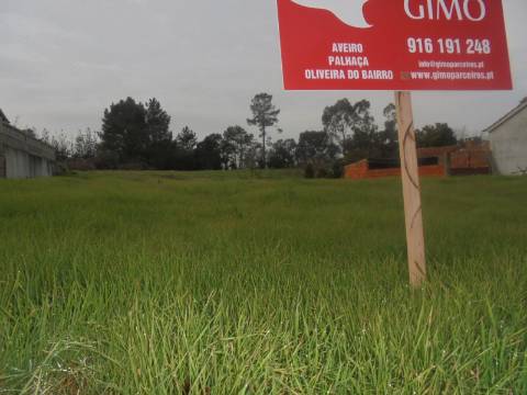 Terreno Arredores de Oliveira do Bairro