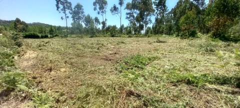 Terreno para venda a poucos minutos de Oliveira do Bairro