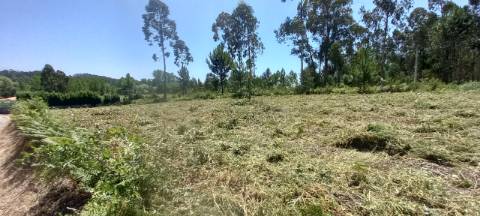 Terreno para venda a poucos minutos de Oliveira do Bairro