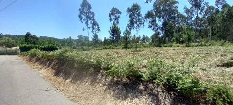 Terreno para venda a poucos minutos de Oliveira do Bairro