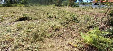 Terreno para venda a poucos minutos de Oliveira do Bairro
