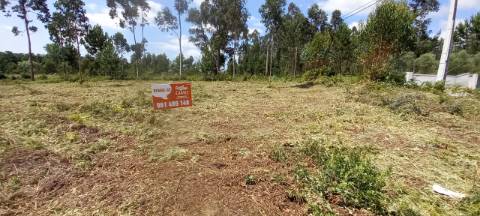 Terreno para venda a poucos minutos de Oliveira do Bairro