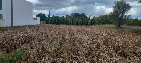 Terreno para construção