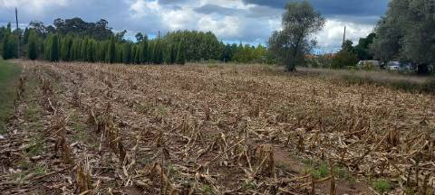 Terreno para construção
