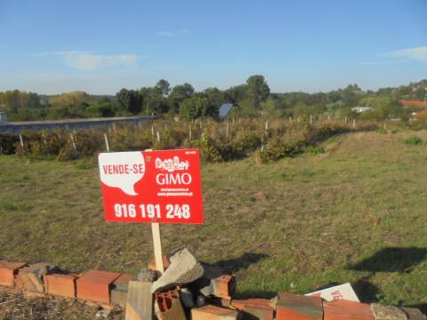Terreno Arred. Oliveira do Bairro