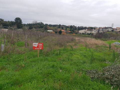 Terreno Arred. Oliveira do Bairro