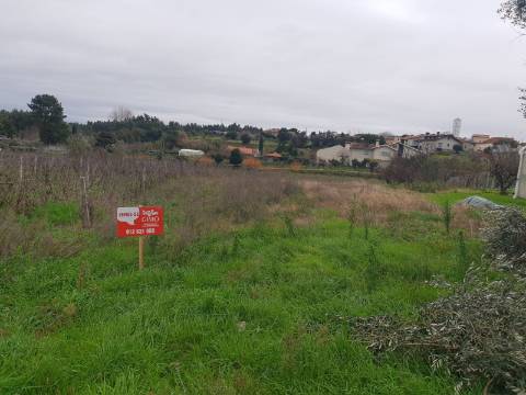 Terreno Arred. Oliveira do Bairro