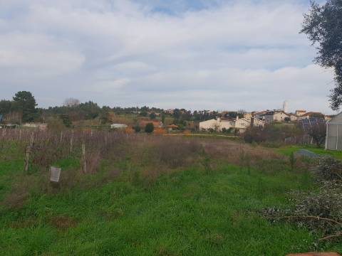 Terreno Arred. Oliveira do Bairro