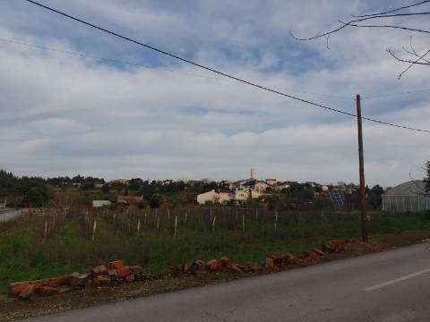 Terreno Arred. Oliveira do Bairro