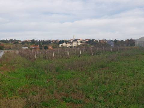 Terreno Arred. Oliveira do Bairro