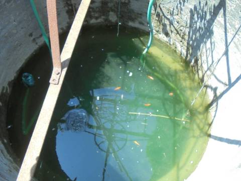 Terreno Aguas Boas , Oiã