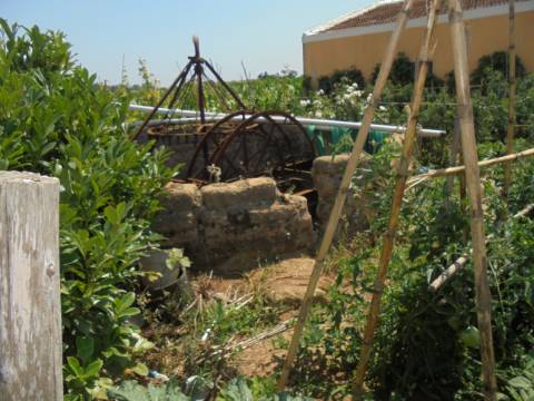 Terreno Aguas Boas , Oiã