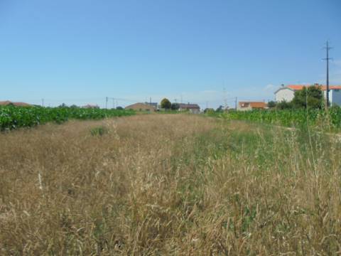 Terreno Aguas Boas , Oiã