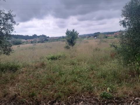 Terreno para venda em Oiã