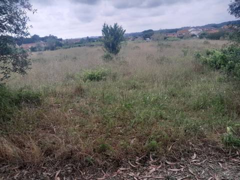 Terreno para venda em Oiã