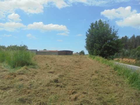 Terreno em Oiã