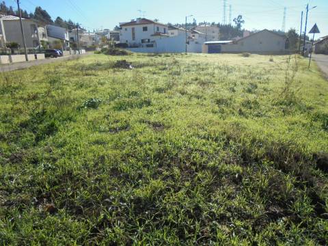 Terreno Avelãs de Caminho