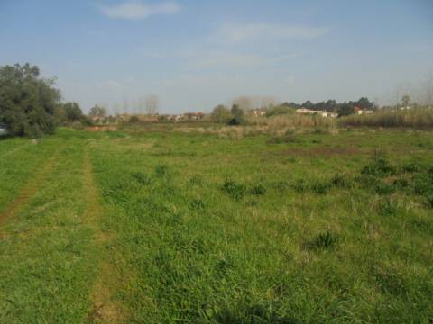 Terreno agrícola Bustos