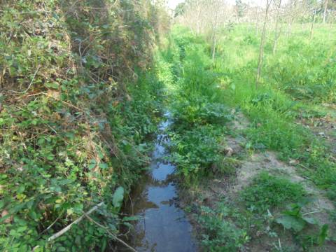 Terreno agrícola Bustos
