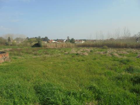 Terreno agrícola Bustos