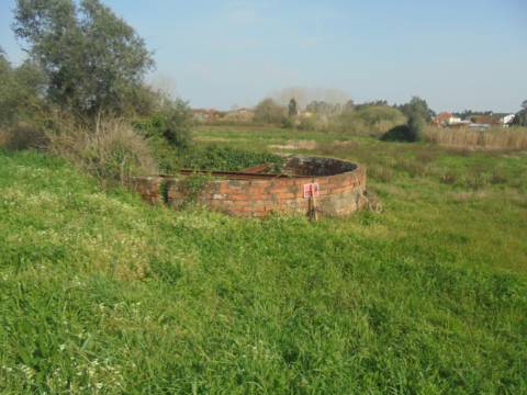 Terreno agrícola Bustos