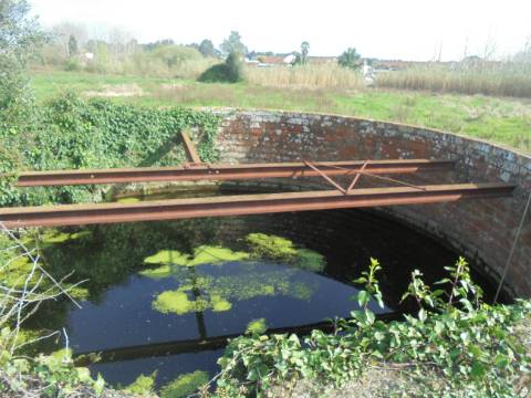 Terreno agrícola Bustos
