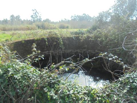 Terreno agrícola Bustos