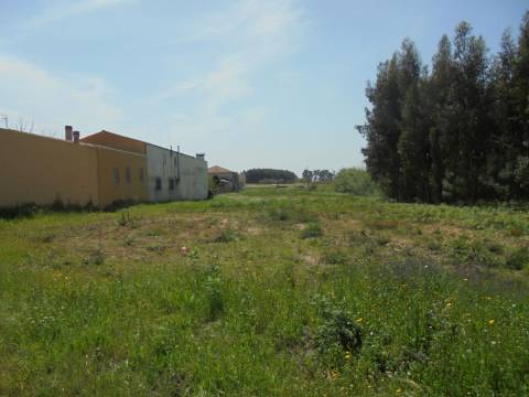 Terreno para Construção Palhaça