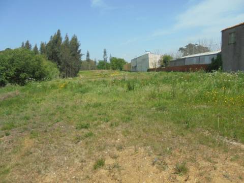 Terreno para Construção Palhaça