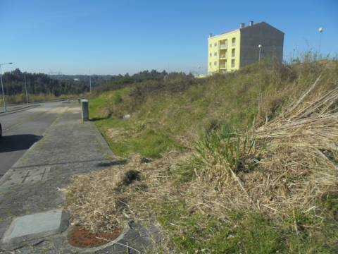 Terreno Oliveira do Bairro