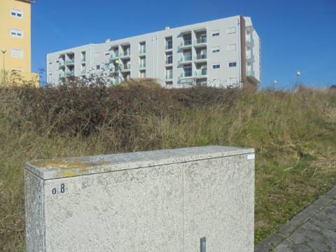 Terreno Oliveira do Bairro