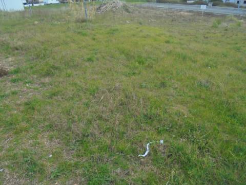 Terreno Oliveira do Bairro